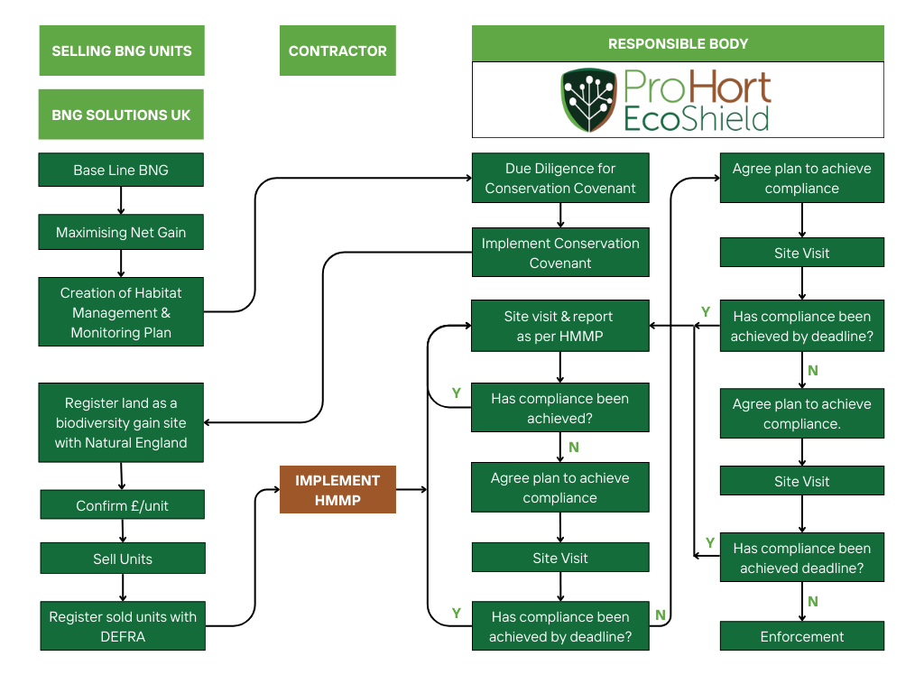 Our Process