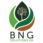 BNG Solutions-08