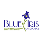 Blue Iris Logo - Architizer