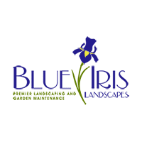 Blue Iris Logo - Architizer
