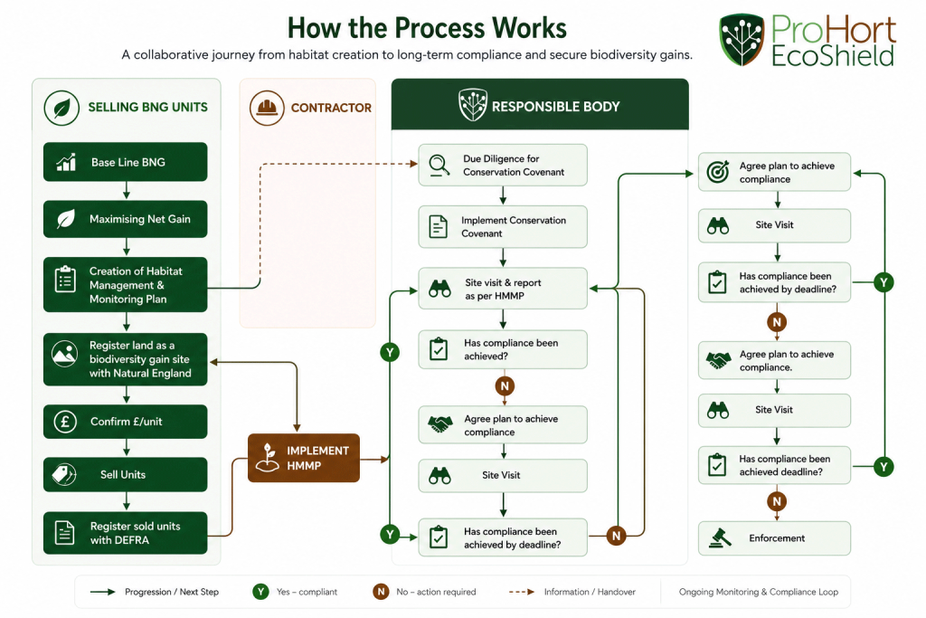 Flow diagram showing the Biodiversity Net Gain process from habitat planning and HMMP preparation through to conservation covenant due diligence, long-term monitoring, compliance reviews and enforcement by ProHort EcoShield as the Responsible Body.
